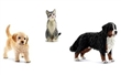 SCHLEICH 13847 PŘÁTELÉ