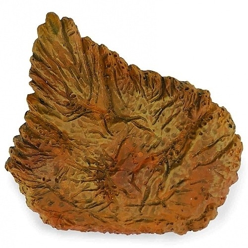 COLLECTA 89286 GIFT SET HŘBETNÍ PLÁT STAROSAURA - Photo 1