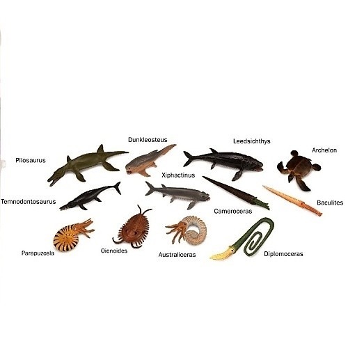 COLLECTA A1104 TUBA MINI PREHISTORICKÁ MOŘSKÁ ZVÍŘÁTKA - Photo 1