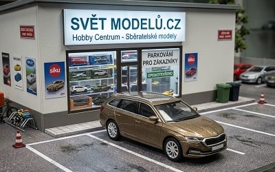 Škoda Octavia IV combi 2019 brown - Photo 1
