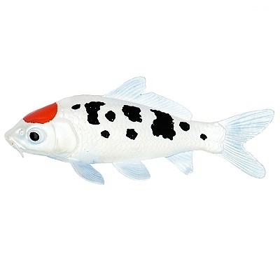 SAFARI 101025 KAPR KOI TANCHO - Photo 1