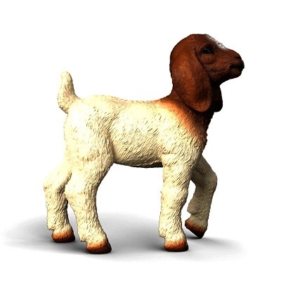 SCHLEICH 14930 Burská koza kůzle - Photo 2