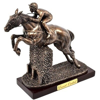NEJLEPŠÍ KONĚ SVĚTA DESERT ORCHID