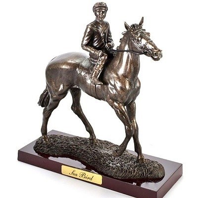 NEJLEPŠÍ KONĚ SVĚTA SEA BIRD