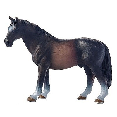 BREYER K OLDENBURSK