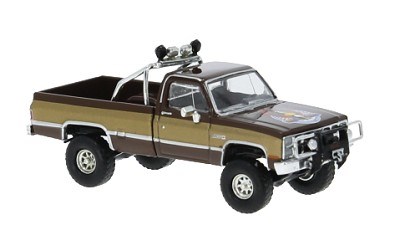 GMC SIERRA GRANDE 1981 BROWN / GOLD
