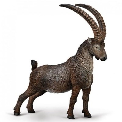 COLLECTA 80020 KOZOROŽEC ALPSKÝ