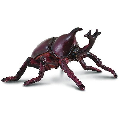 COLLECTA 88337 NOSOROŽÍK RHINOCEROS BEETLE