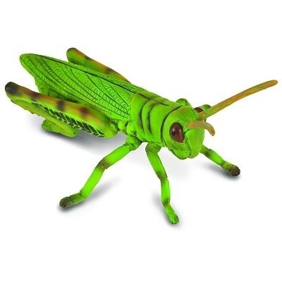 COLLECTA 88352 KONÍK POLNÍ