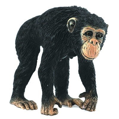 COLLECTA 88493 ŠIMPANZ SAMICE