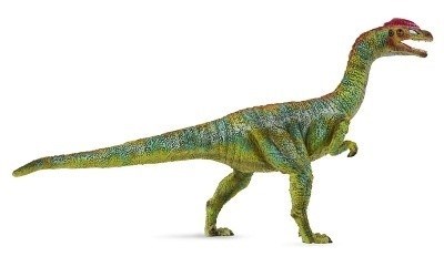 COLLECTA 88509 LILIENSTERNUS