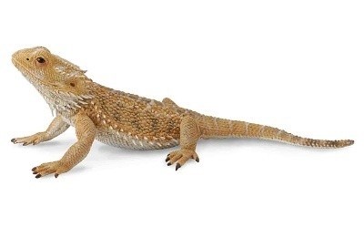 COLLECTA 88567 AGAMA AUSTRALSK