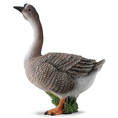 COLLECTA 88571 HUSA