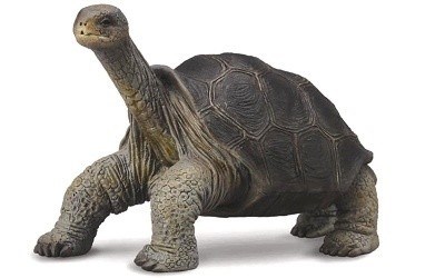COLLECTA 88619 ŽELVA LONESOME GEORGE