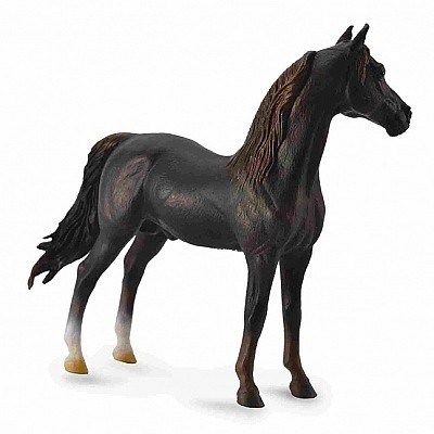 COLLECTA 88647 KŮŇ MORGAN