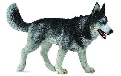 COLLECTA 88707 SIBIŘSKÝ HUSKY