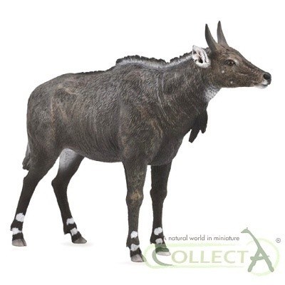 COLLECTA 88764 ANTILOPA NILGAU