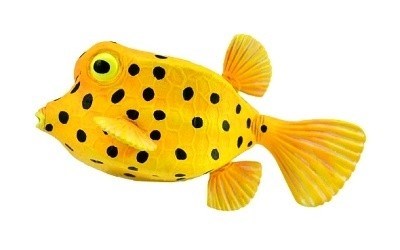 COLLECTA 88788 HAVÝŠ ŽLUTOHNĚDÝ