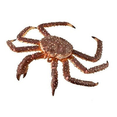 COLLECTA 88851 KRAB