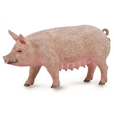 COLLECTA 88863 PRASNICE