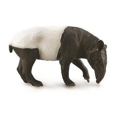 COLLECTA 88881 TAPÍR MALAJSKÝ