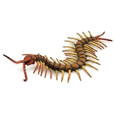 COLLECTA 88885 STONOŽKA