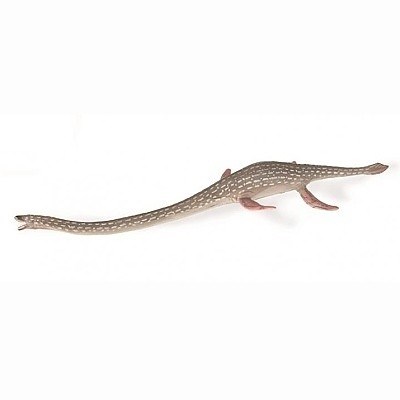 COLLECTA 88922 ELASMOSAURUS