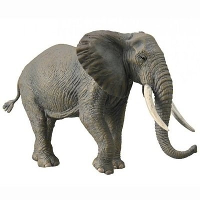 COLLECTA 88966 SLON AFRICK