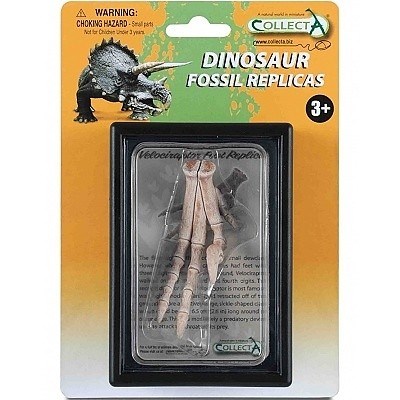 COLLECTA 89285 GIFT SET ZUB PAŘÁT VELOCIRAPTORA
