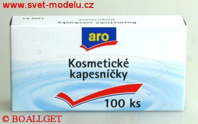 Papírové kapesníky v krabičce 100 kusů 2-vrstvé