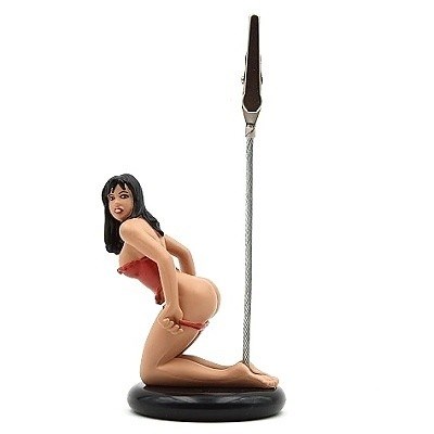 DRŽÁK POZNÁMEK DRUUNA