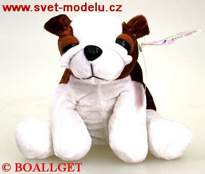 PES SEDÍCÍ SVĚTLE HNĚDÝ-BÍLÝ