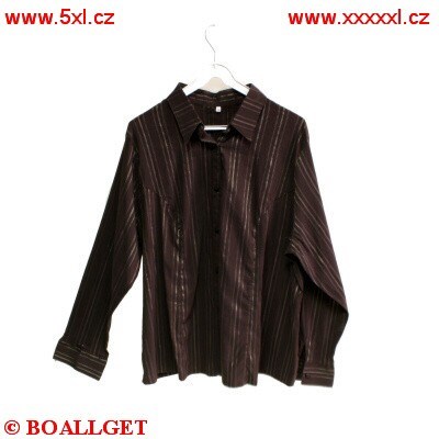 Dámská halenka hnědá