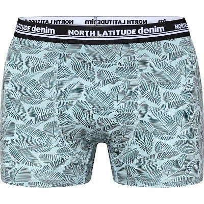 Pánské boxerky 61341 NORTH světle modré potisk lístky  5XL - 8XL