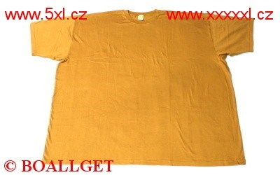 Pánské tričko hnědé krátký rukáv