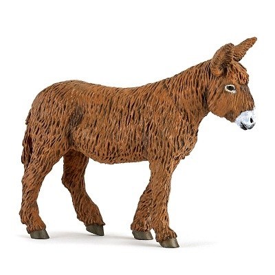 PAPO 51168 OSEL POITOU