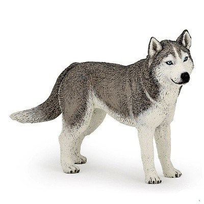 PAPO 54035 HUSKY
