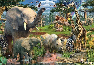 ZVATA U VODY PUZZLE RAVENSBURGER 18000 dlk  