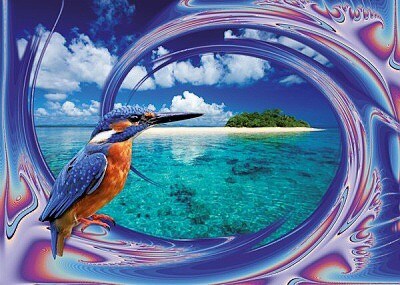 BARVY LEDŇÁČKA PUZZLE RAVENSBURGER 1000 dílků  