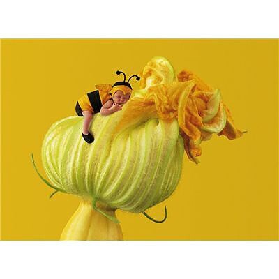 VČELKA ANNE GEDDES PUZZLE SCHMIDT 1000 dílků  