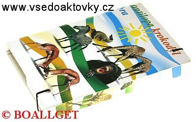 ŠKOLNÍ DESKY A5 BOX s gumičkou 