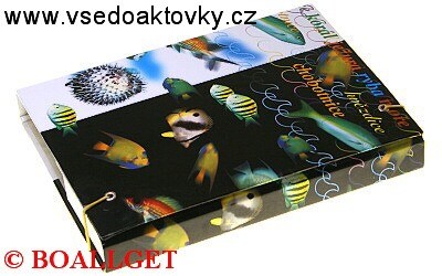 ŠKOLNÍ DESKY A5 BOX s gumičkou 