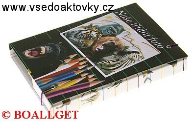 ŠKOLNÍ DESKY A5 BOX s gumičkou 