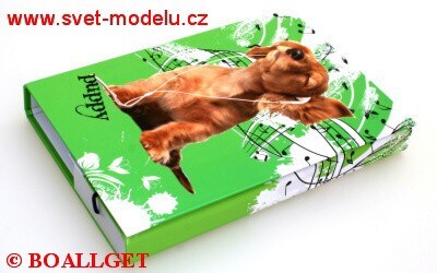 ŠKOLNÍ DESKY BOX A5 s gumičkou Puppy