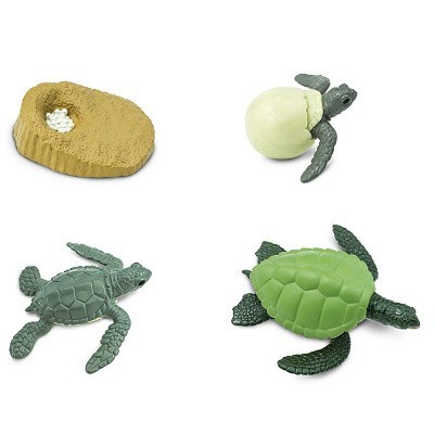 SAFARI 100059 ŽIVOTNÍ CYKLUS ŽELVA ECO PACK