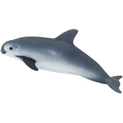 SAFARI 100101 SVIUCHA KALIFORNSK