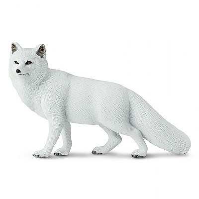 SAFARI 113489 LI�KA POL�RN�