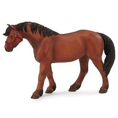 SAFARI 115089 IRSKÝ TAŽNÝ KŮŇ