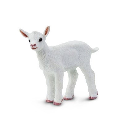 SAFARI 161229 KŮZLE