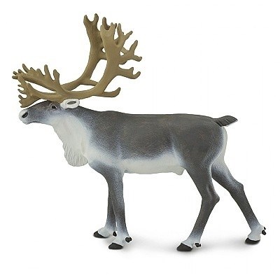 SAFARI 182229 SOB POLÁRNÍ